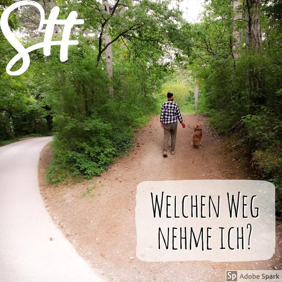 Frau mit Hund mit Rücken geht auf einem Weg bei der Weggabelung